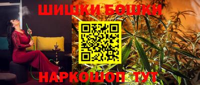 МДПВ Будённовск