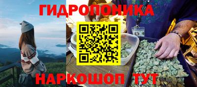 крисы Бузулук
